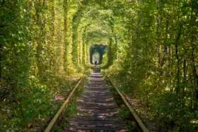Tunel of Love, Ukraine