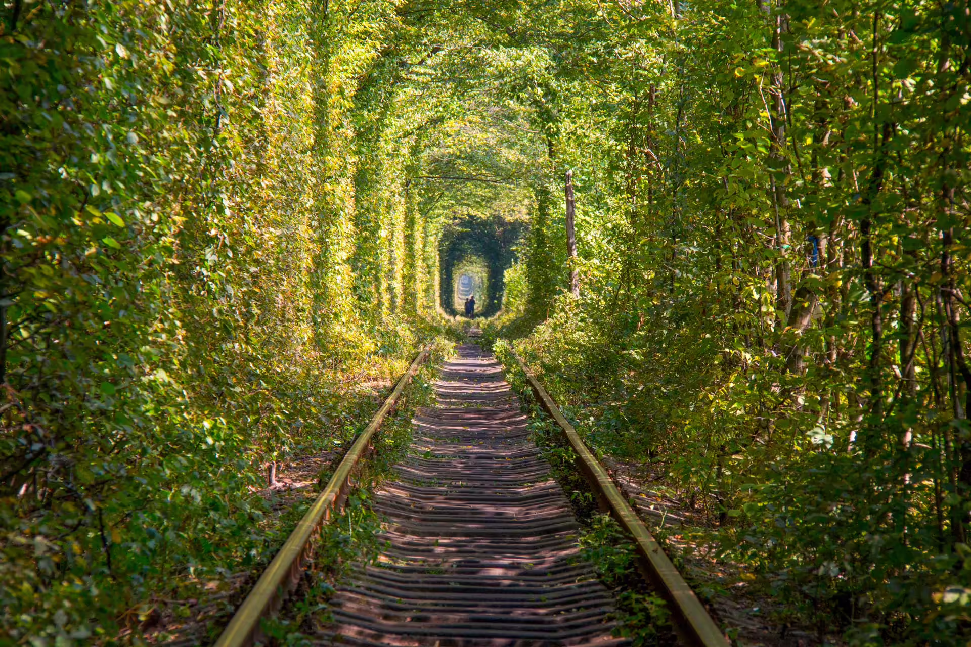 Tunel of Love, Ukraine