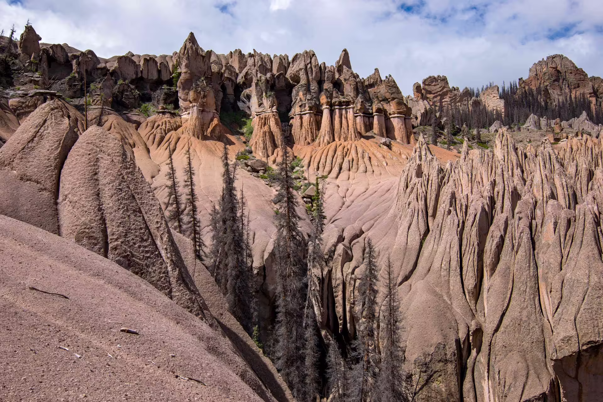 Wheeler Geologic Area
