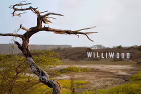 Williwood