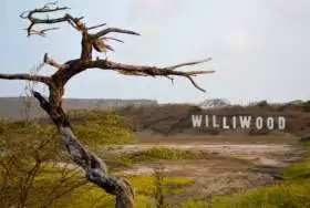 Williwood