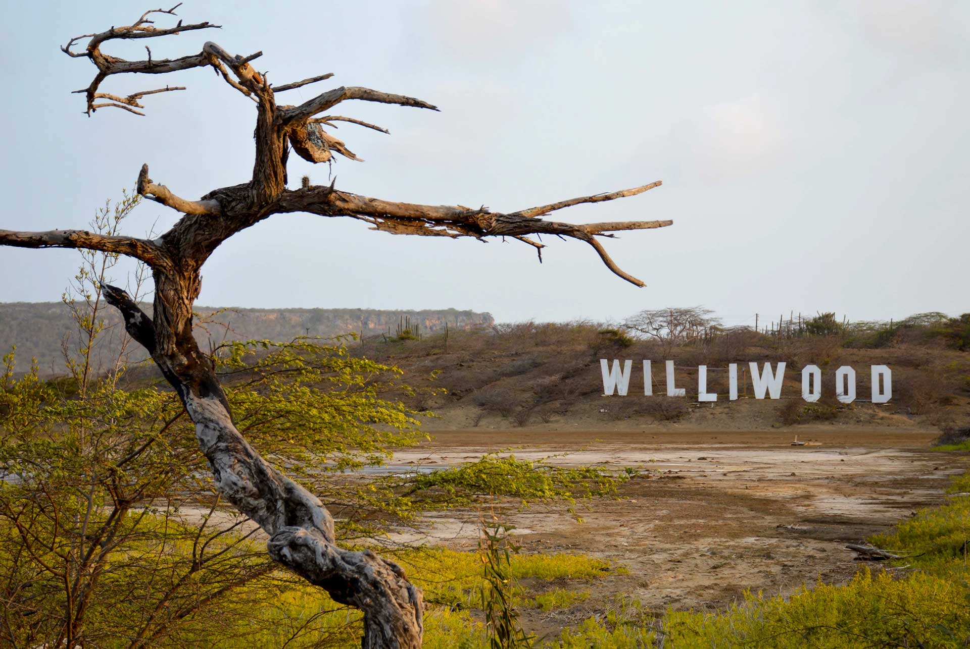 https://www.placemania.sk/wp-content/uploads/2021/05/williwood.jpg
