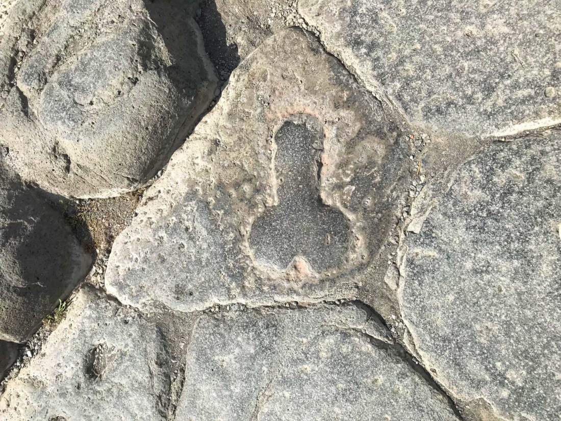 Kamenné penisy