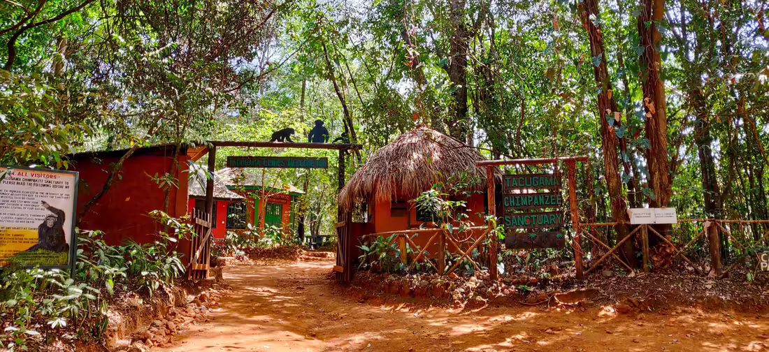 Tacugama