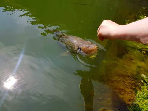 Port Logan Fish Pond