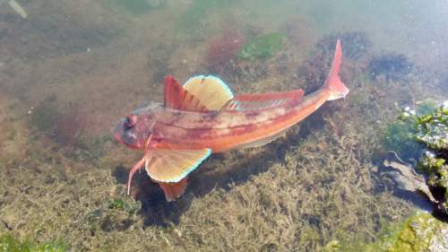 Port Logan Fish Pond