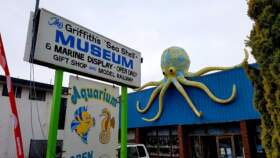 Múzeum morských ulít Griffiths
