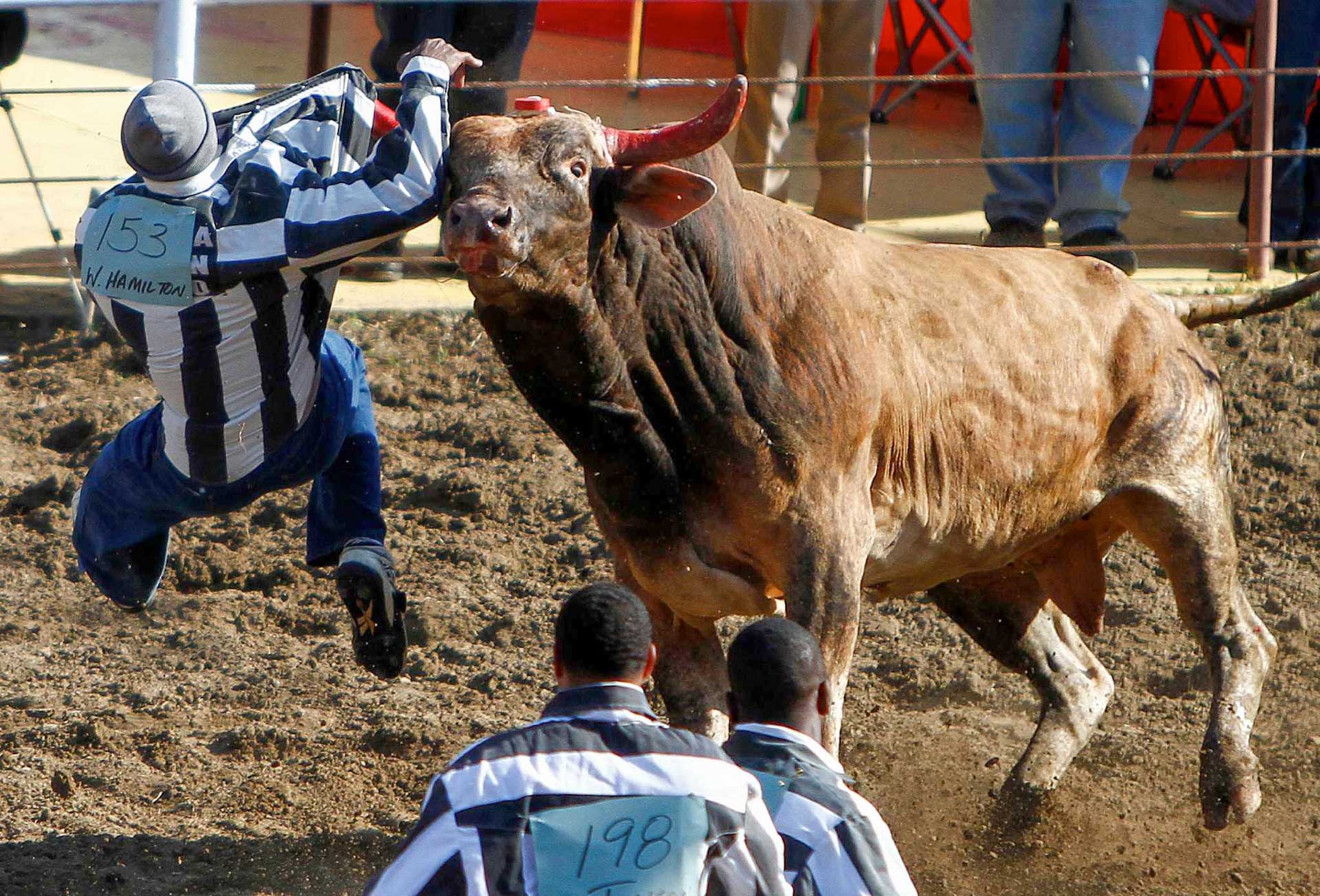 Väzenské rodeo