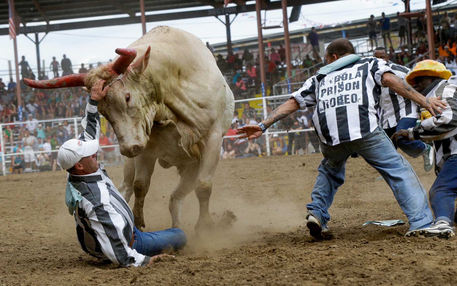 Väzenské rodeo