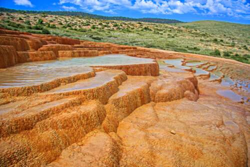 Badab Soort