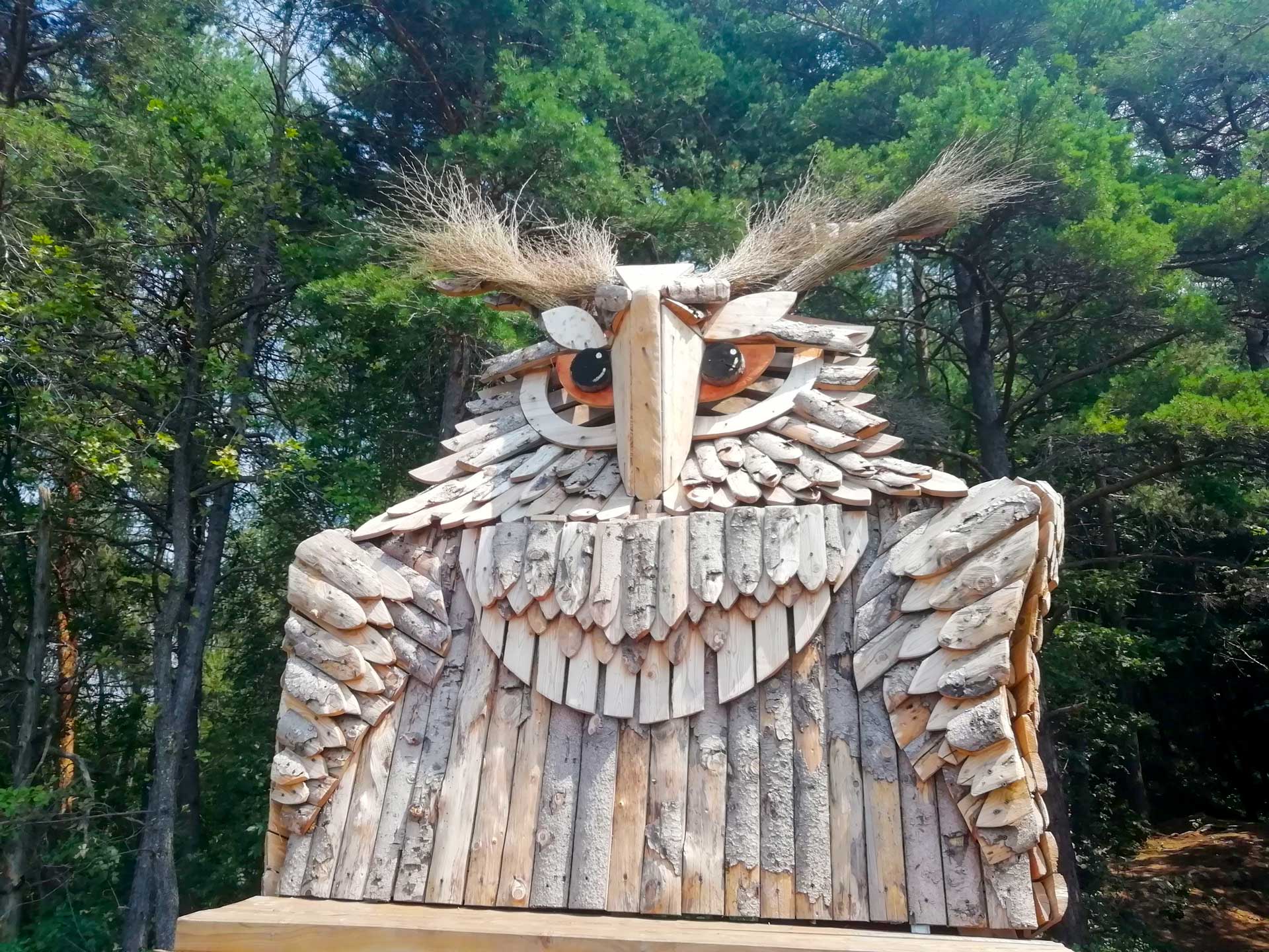 Bosco di Quercus