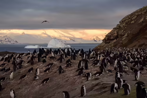 Deception island, Antarctica