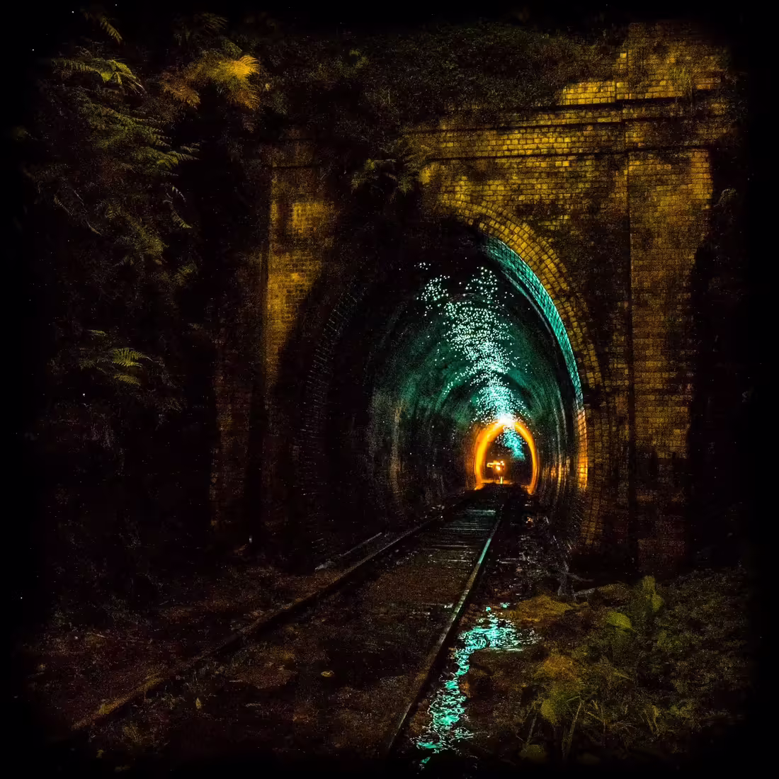Glowworm Tunnel
