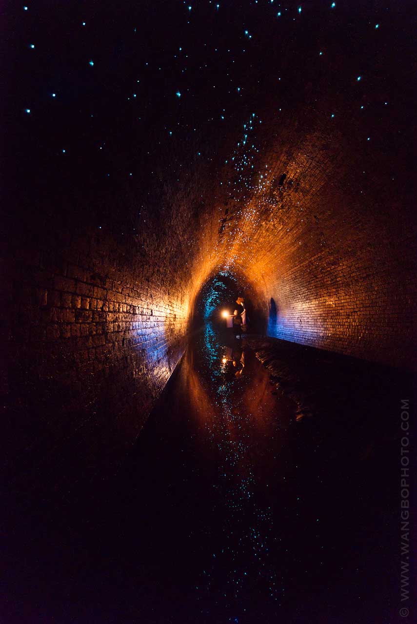 Glowworm Tunnel
