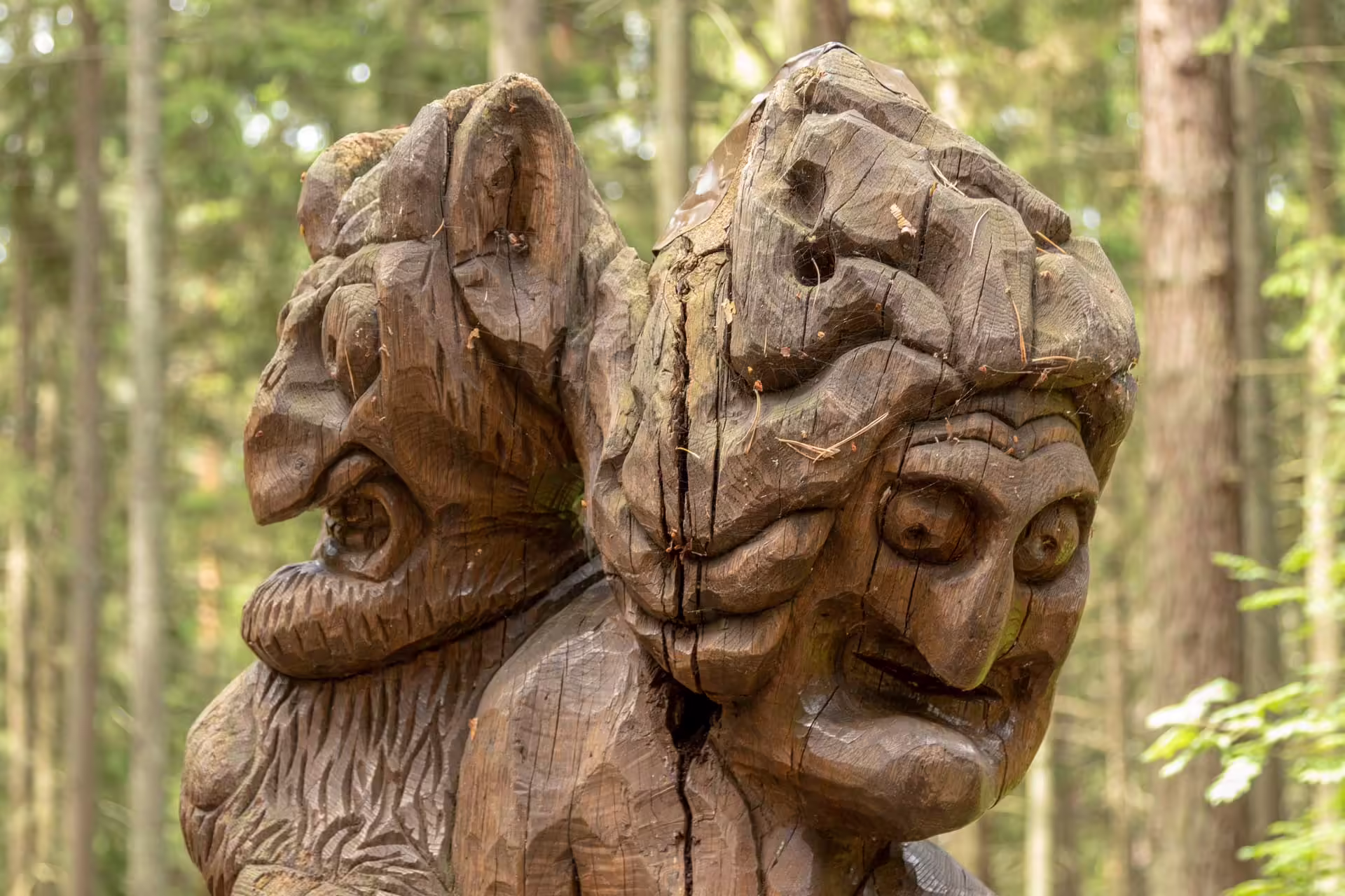 Hill of Witches