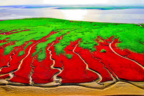 Červená pláž, Čína