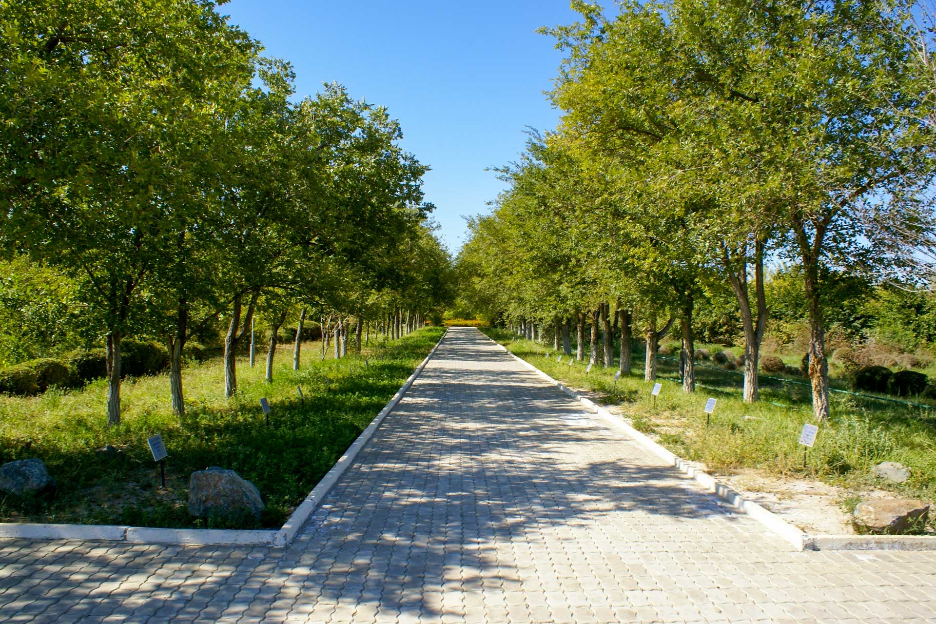 https://www.placemania.sk/wp-content/uploads/2021/10/alej_kozmonautov.jpg