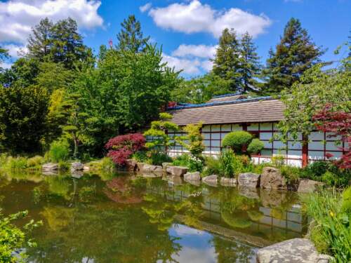 Japonská záhrada vo Francúzsku