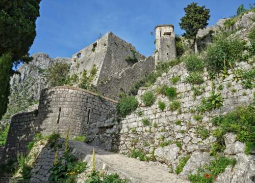 Pevnosť Kotor, Čierna Hora