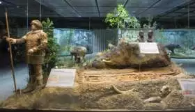 Darwinovo múzeum, Moskva