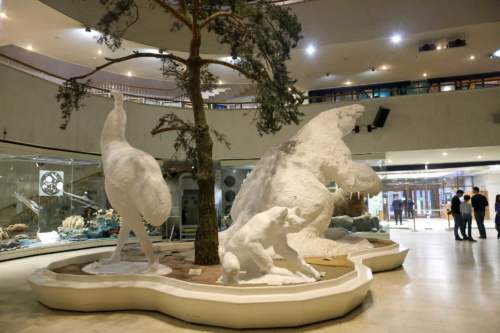 Darwin Museum, Moscow