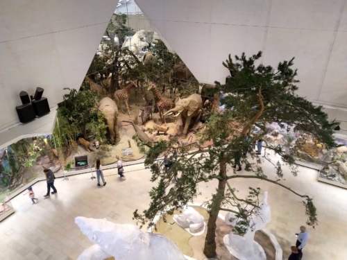 Darwin Museum, Moscow