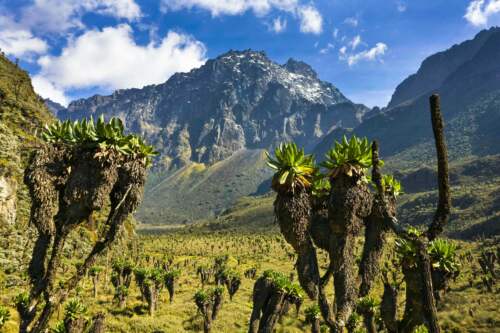 Mount Stanley, Uganda