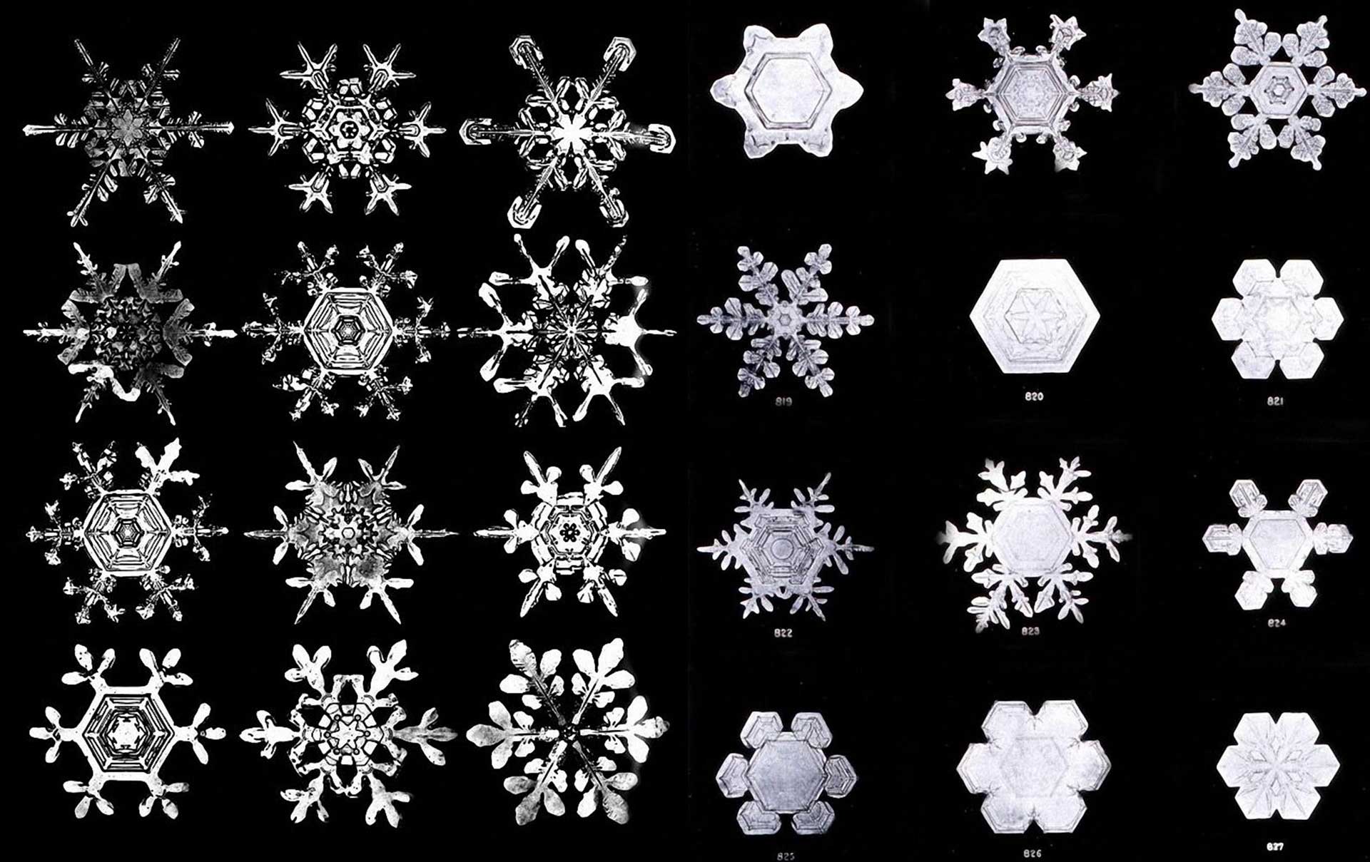 https://www.placemania.sk/wp-content/uploads/2022/01/snowflakes.jpg