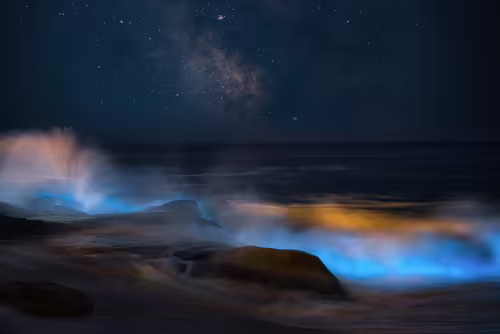 Milky Seas, Somalia