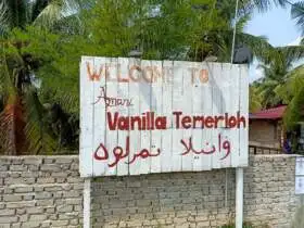 Vanilla Temerloh