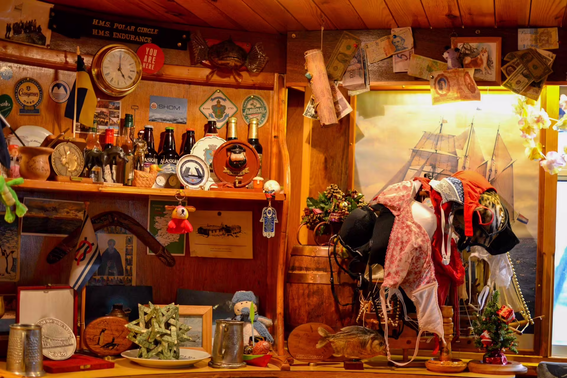 vernadsky bar