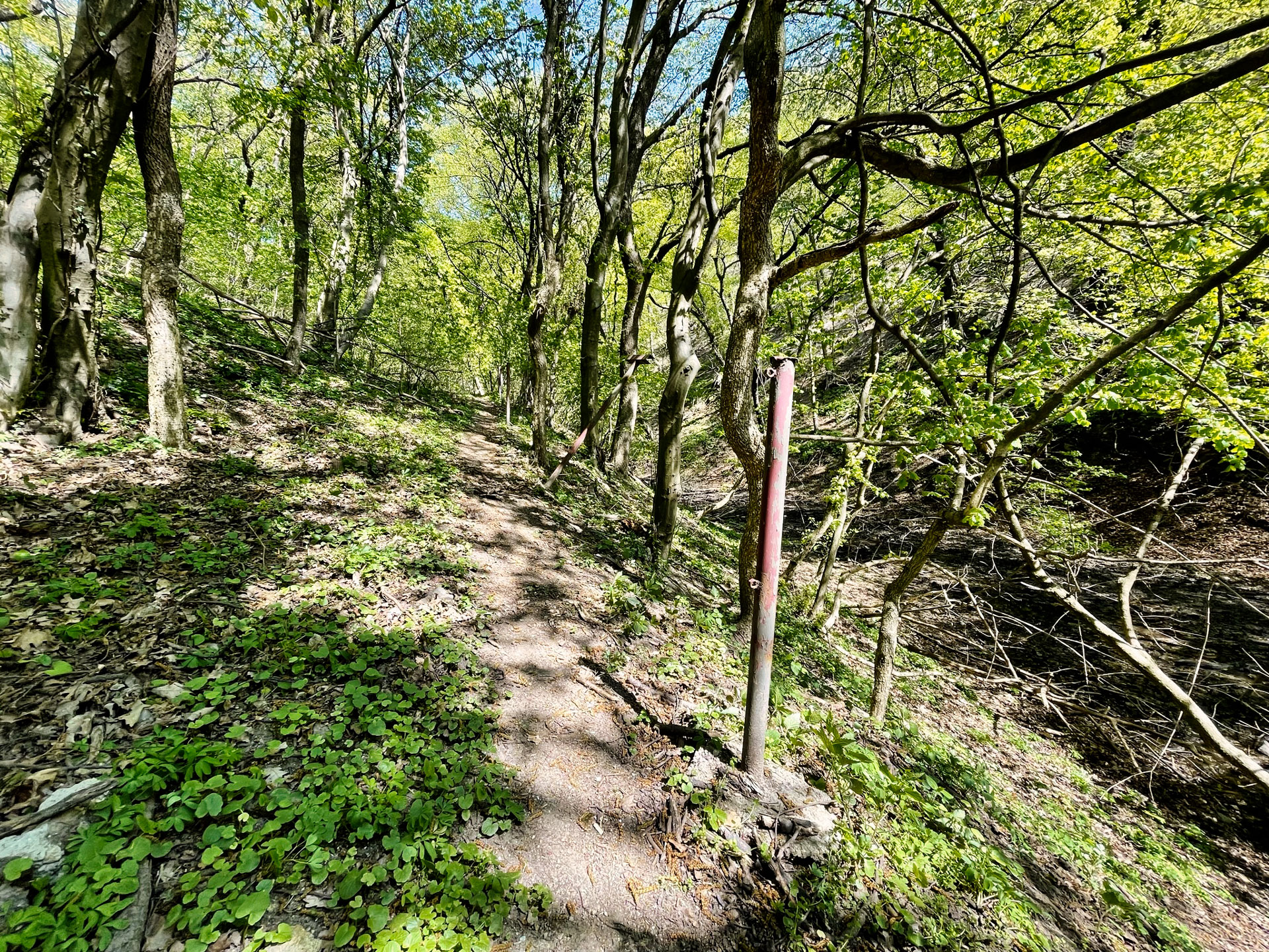 Fialková dolina, Bratislava