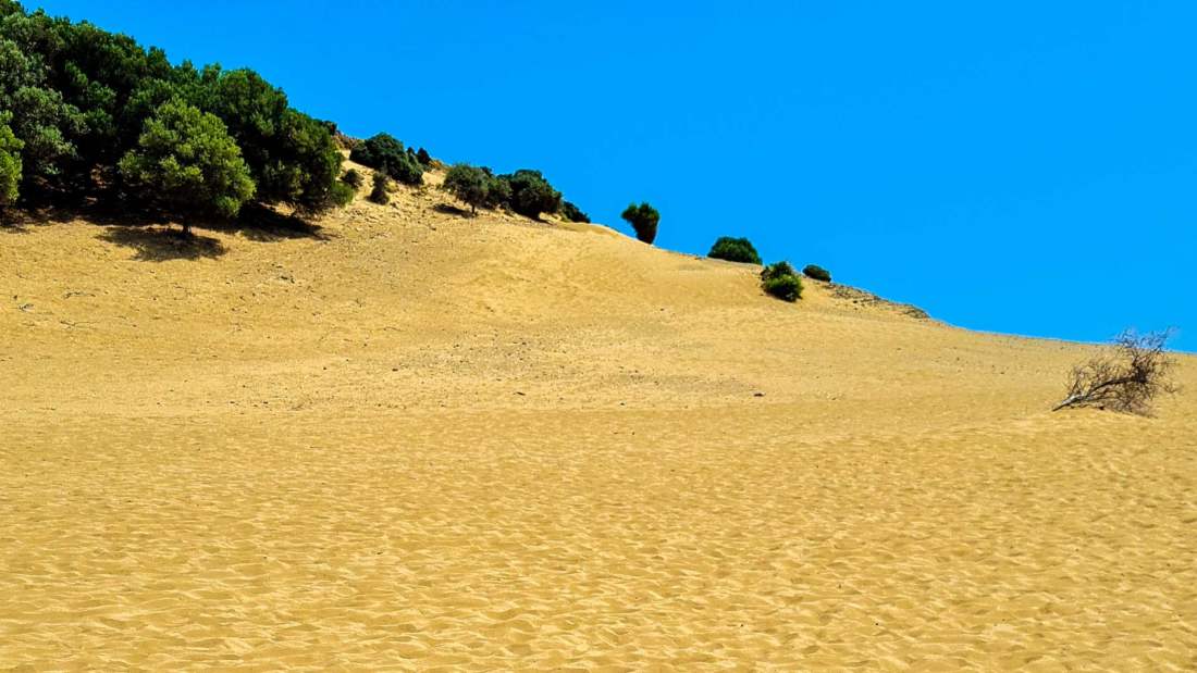 Púšť Lemnos