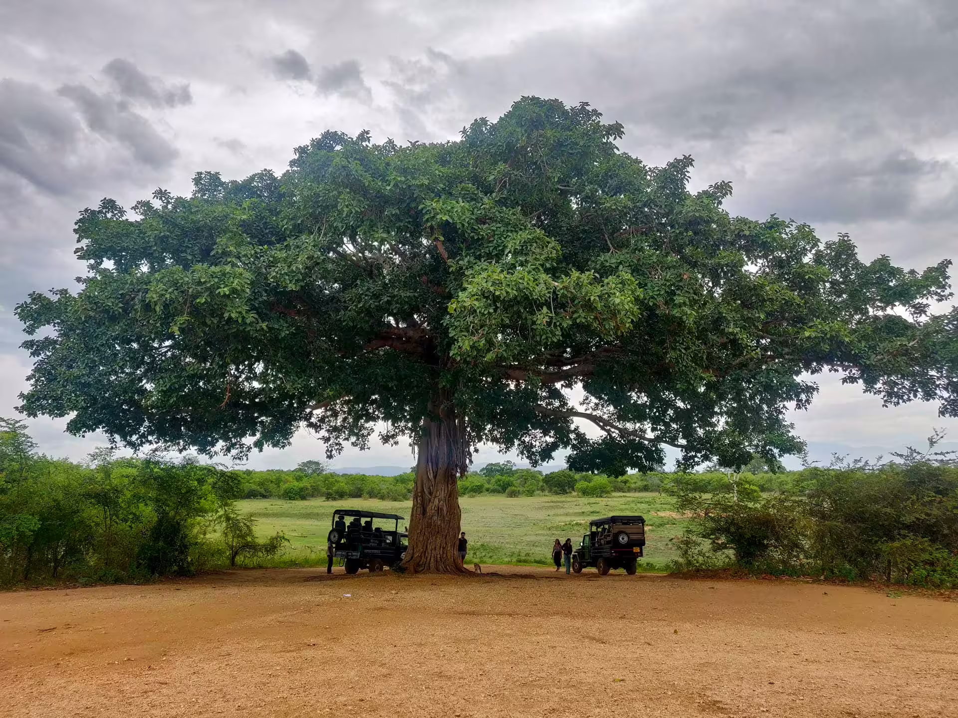 Národný park, Srí Lanka