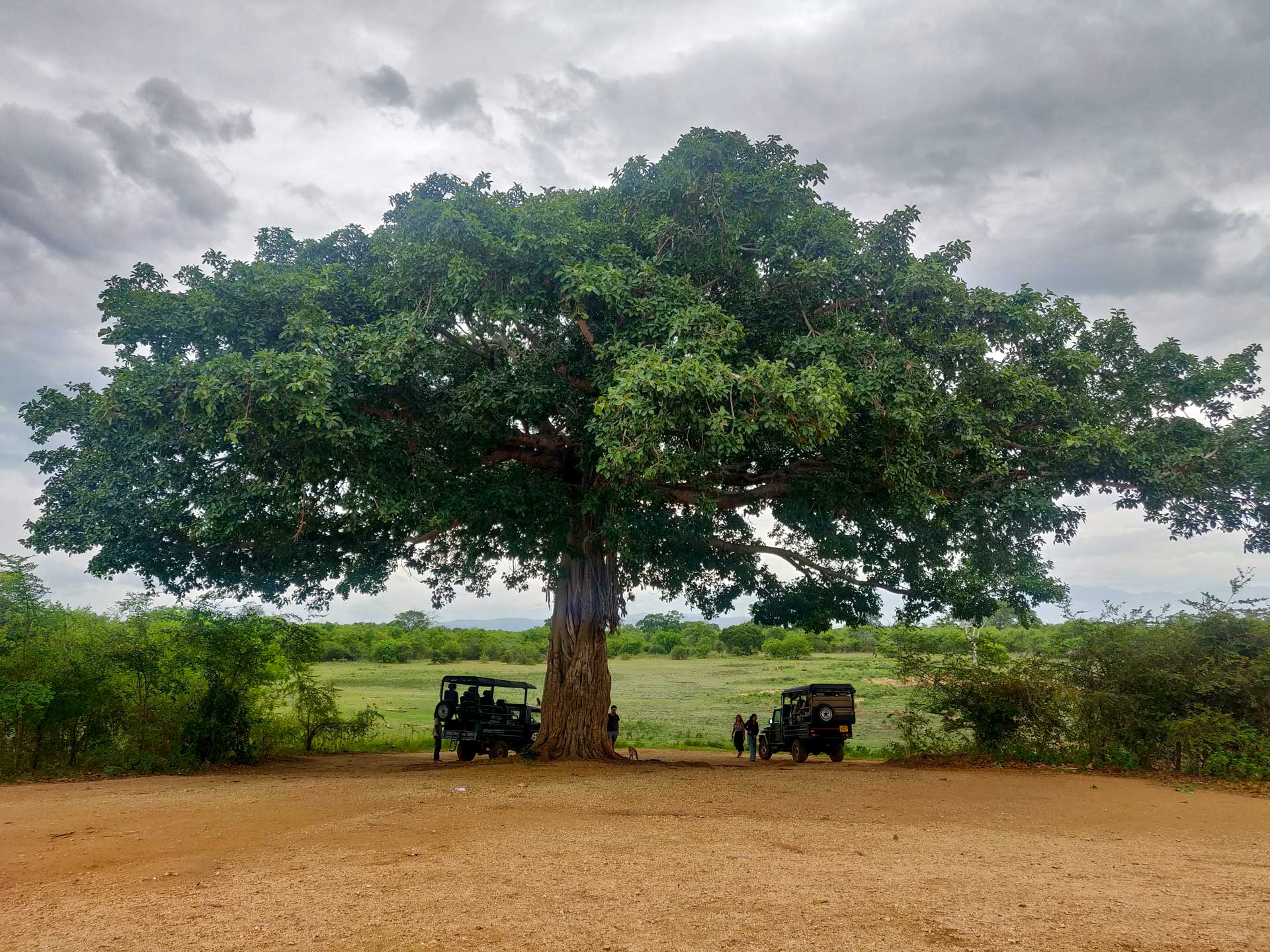 Národný park Udawalawe