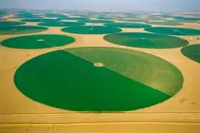 Wadi al-Dawasir