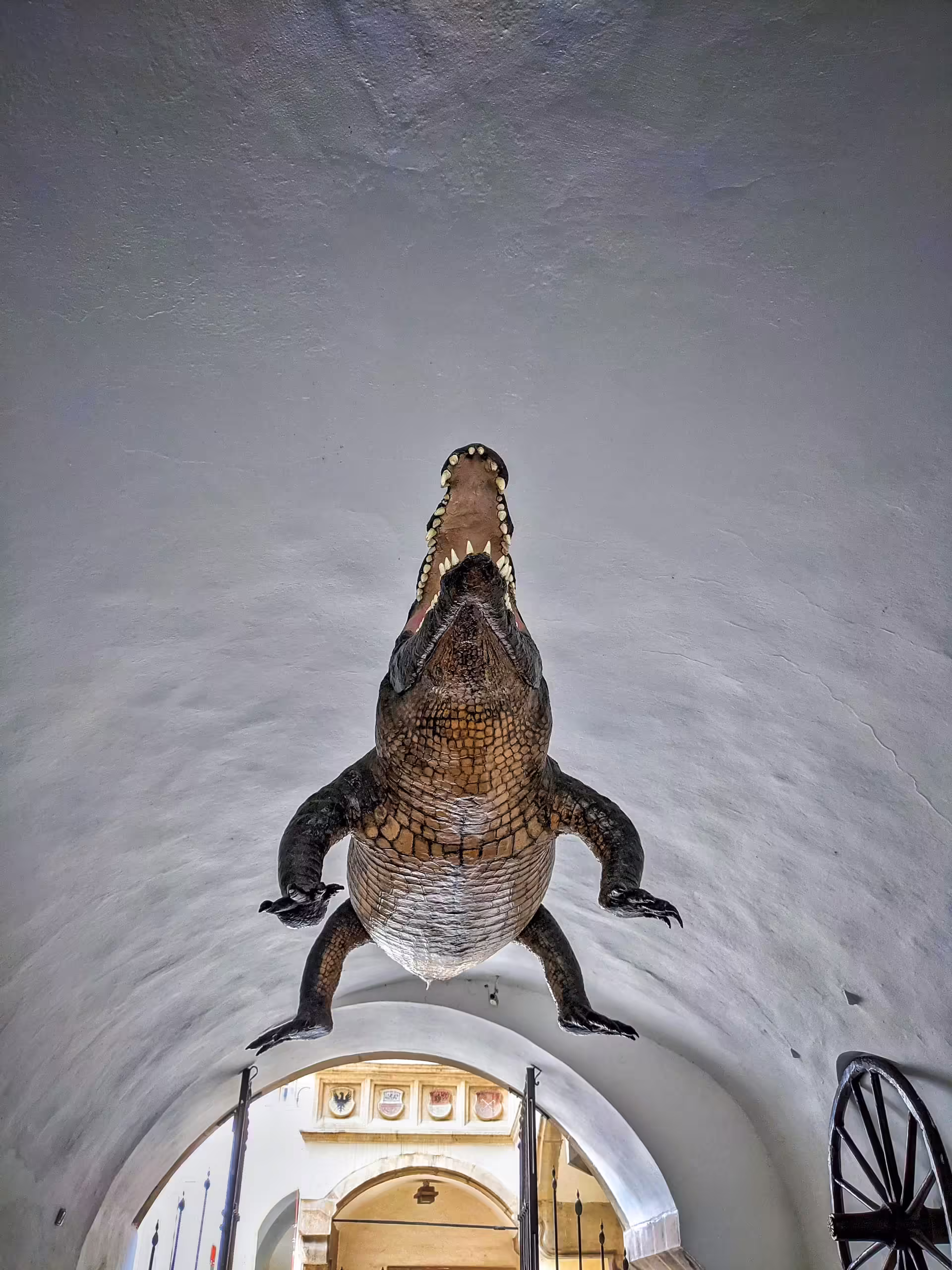 Brniansky drak