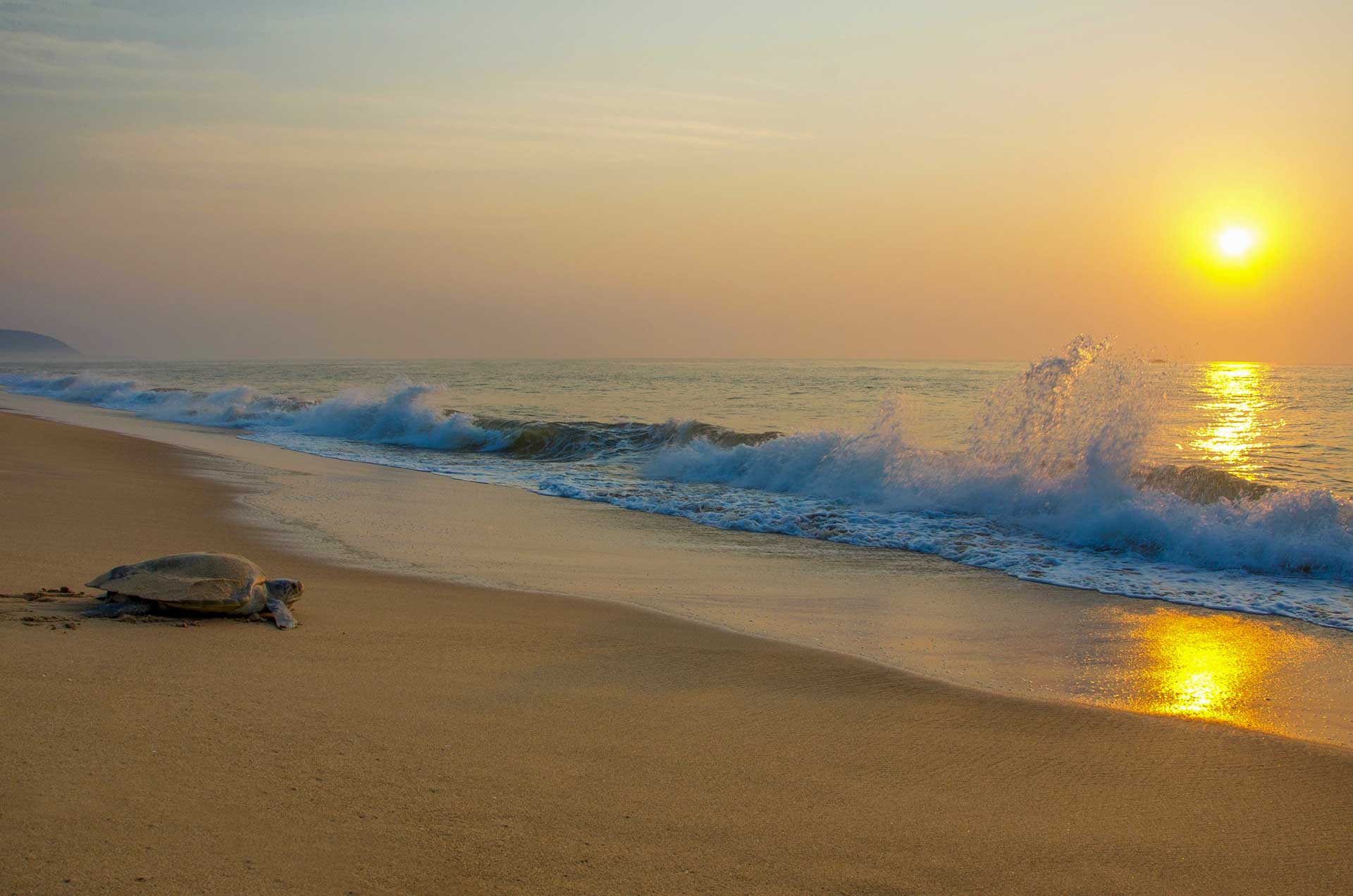 https://www.placemania.sk/wp-content/uploads/2022/06/gahirmatha_beach.jpg