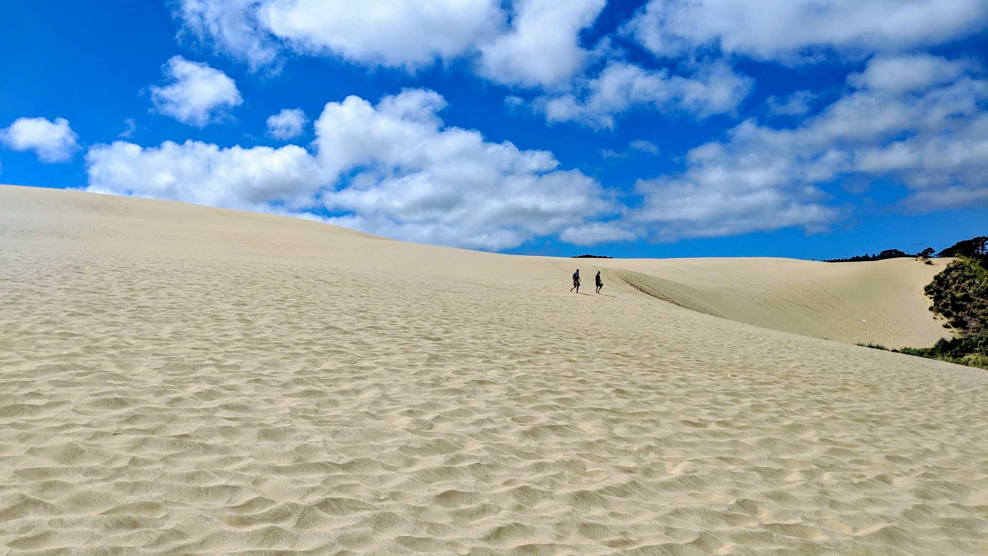 Pieskové duny, Nový Zéland