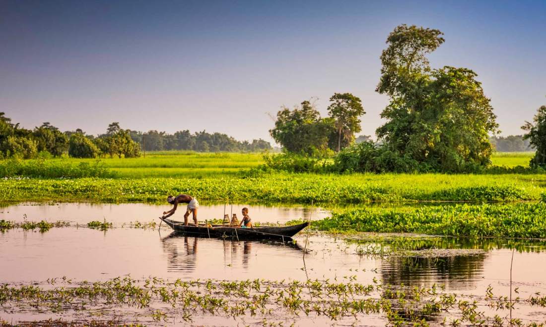 Assam, India