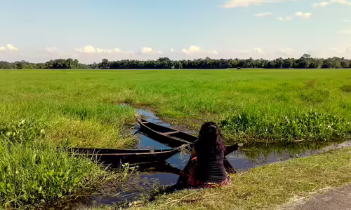 Assam, India