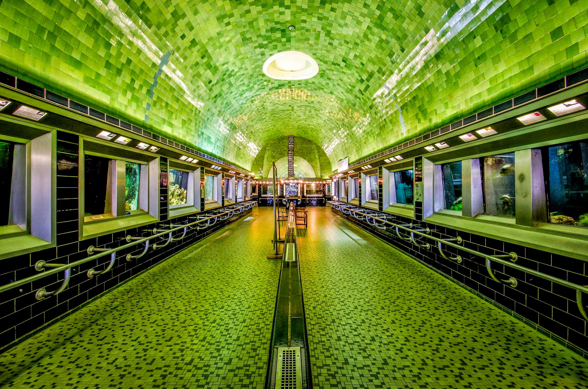 Akvárium Belle Isle