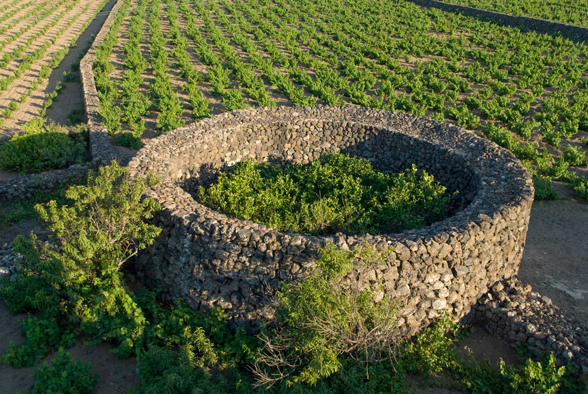 Pantellaria, Taliansko