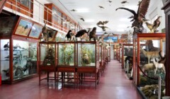 Muzeul Zoologic, Cluj, Romania