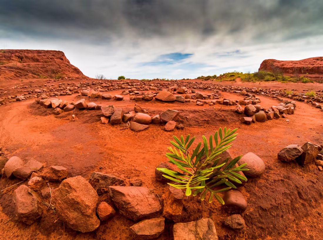 Red Desert
