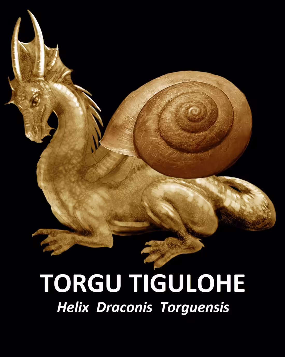 Torgu Kuningriik