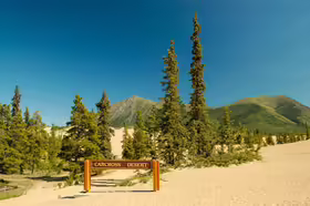 Carcross Desert