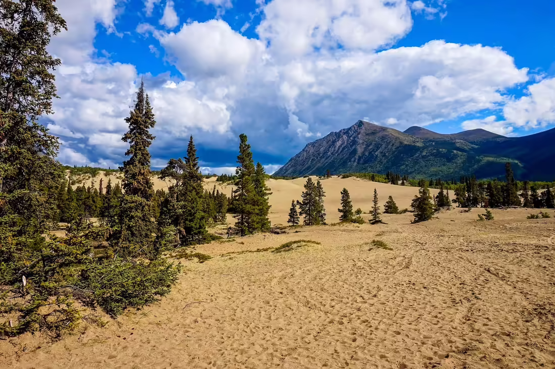 Púšť Carcross, Kanada