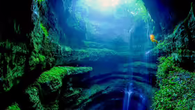 Neversink Pit