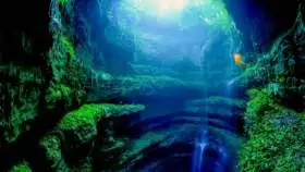 Neversink Pit